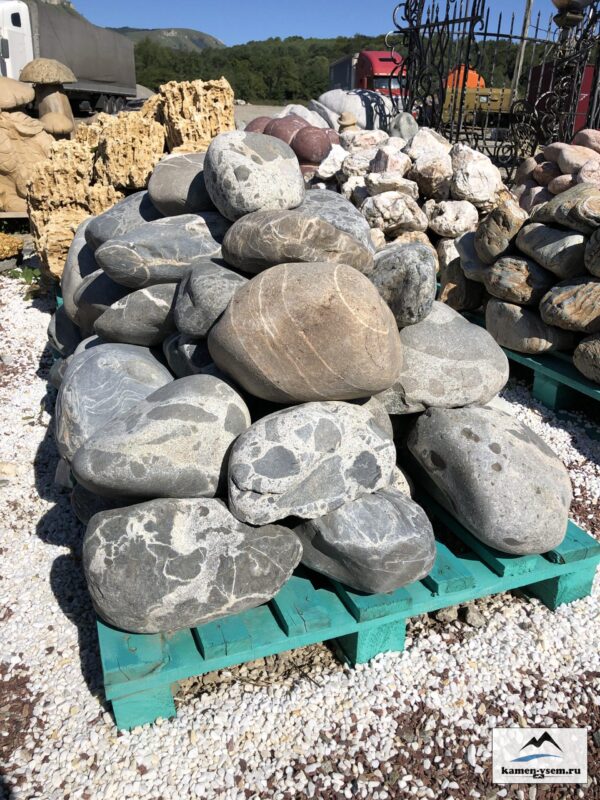 Валун паутинник